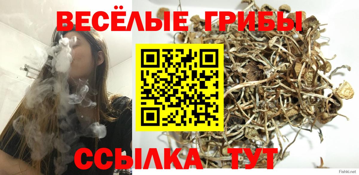 Троицк  Псилоцибиновые грибы Magic Shrooms  Вход с VPN 